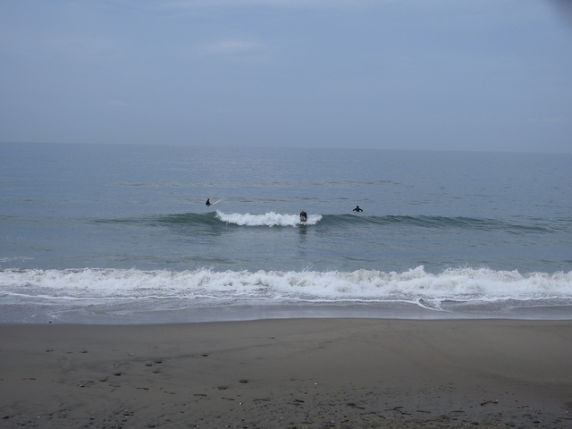 DSCN7430.JPG