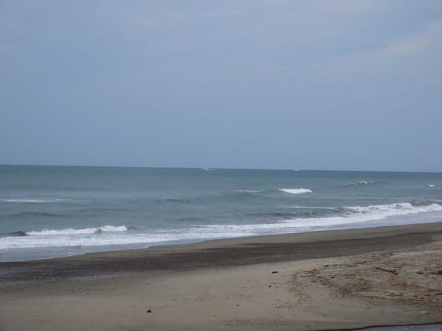IMG_1540.JPG