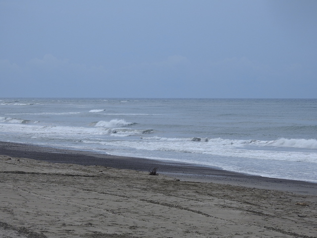 DSCN7467.JPG
