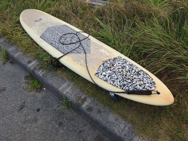 DSCN9571.JPG