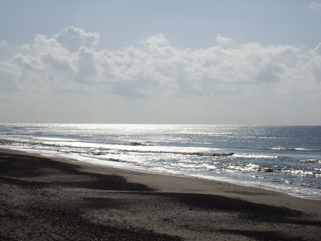 DSCF2095.JPG